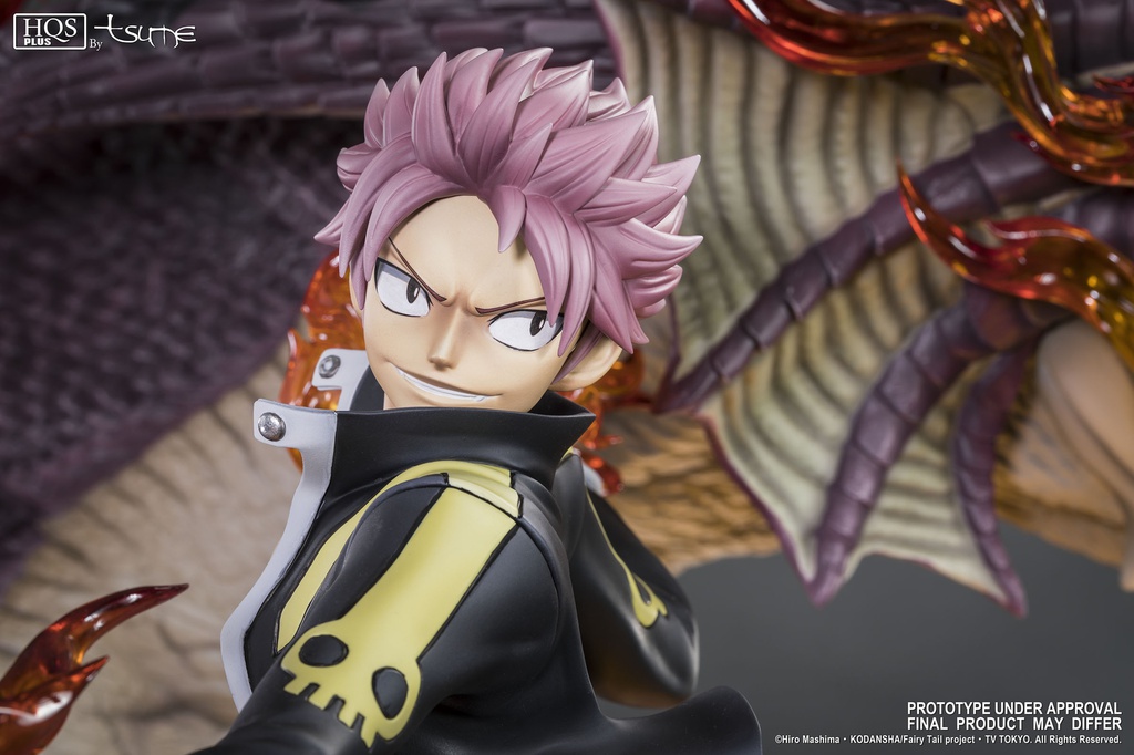 Natsu Dragon Slayer