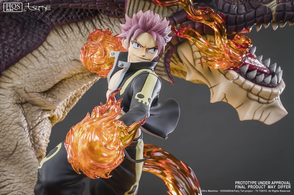 HGFDJ Natsu Dragneel and Igneel Natsu Become a Dragon Canvas Wall