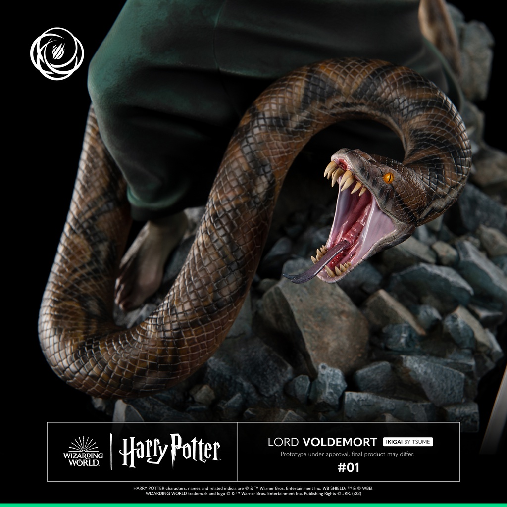 Harry Potter: Harry Potter - Ikigai by Tsume
