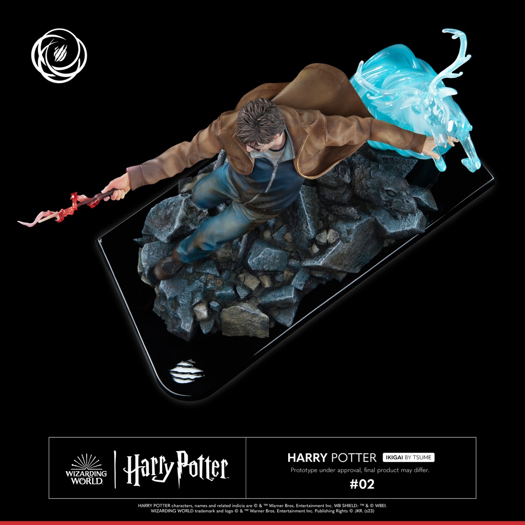 Harry Potter: Harry Potter - Ikigai by Tsume