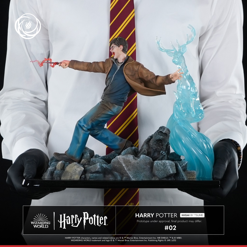 Harry Potter: Harry Potter - Ikigai by Tsume